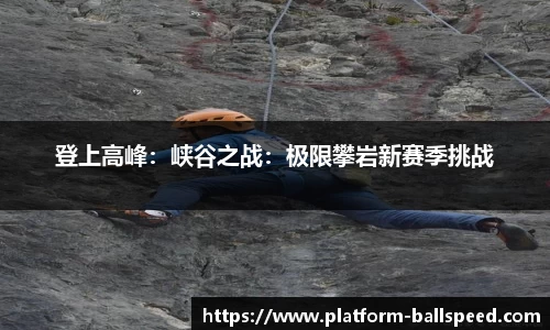 球速体育